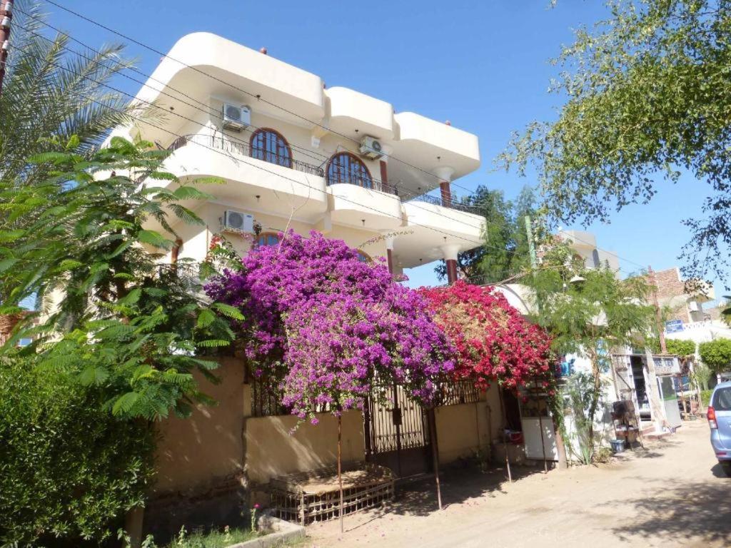 Nile View Panoramique And Garden West Bank Apartment Luxor Exterior photo