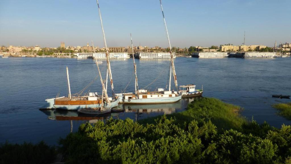 Nile View Panoramique And Garden West Bank Apartment Luxor Exterior photo