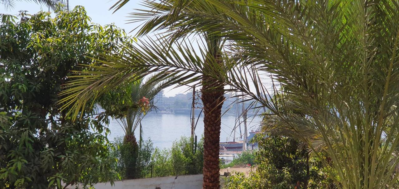 Nile View Panoramique And Garden West Bank Apartment Luxor Exterior photo